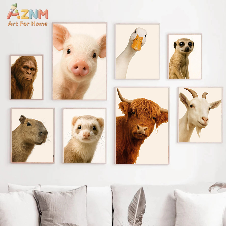 Photography Interest - Affiches photo d'animaux intéressants et humoristiques,