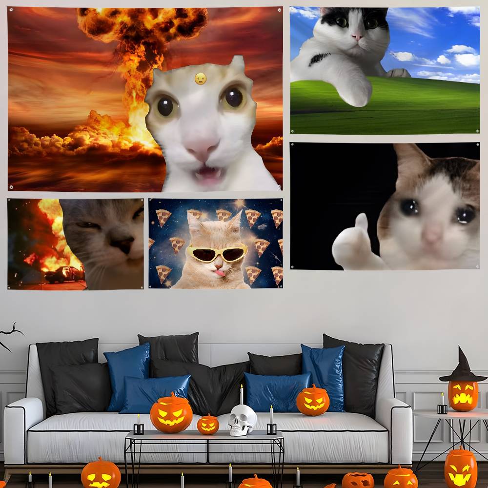 Photography Interest - Drapeau de photographie de chat intéressant,