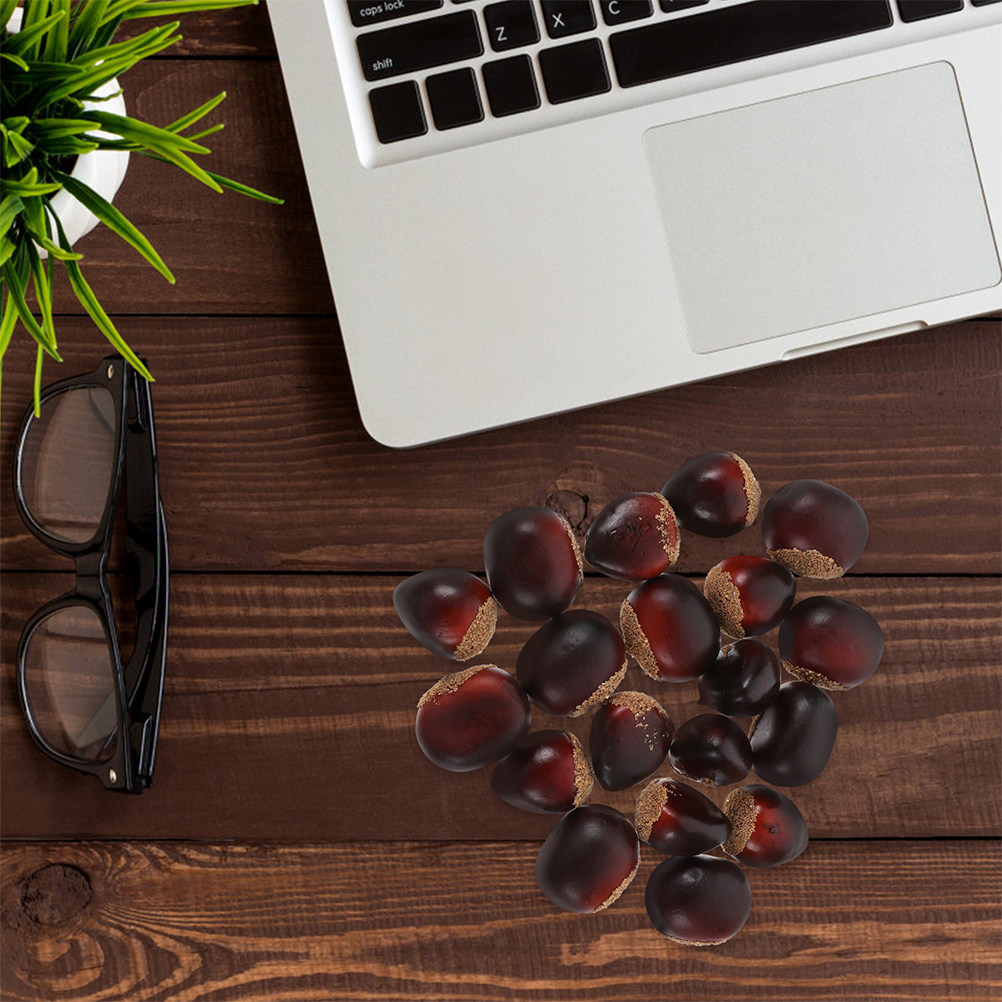 30 faux fruits secs décoratifs - Photography Aesthetic avis et prix
