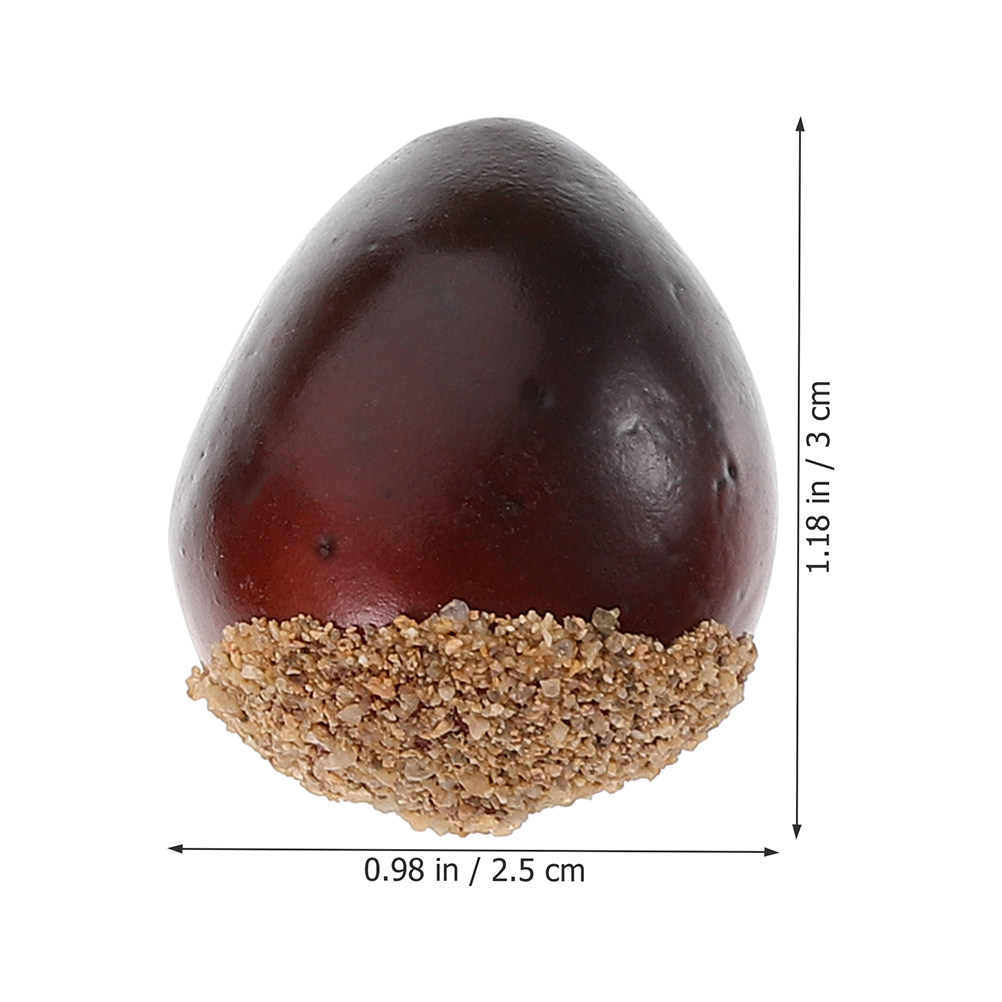 30 faux fruits secs décoratifs - Photography Aesthetic avis et prix