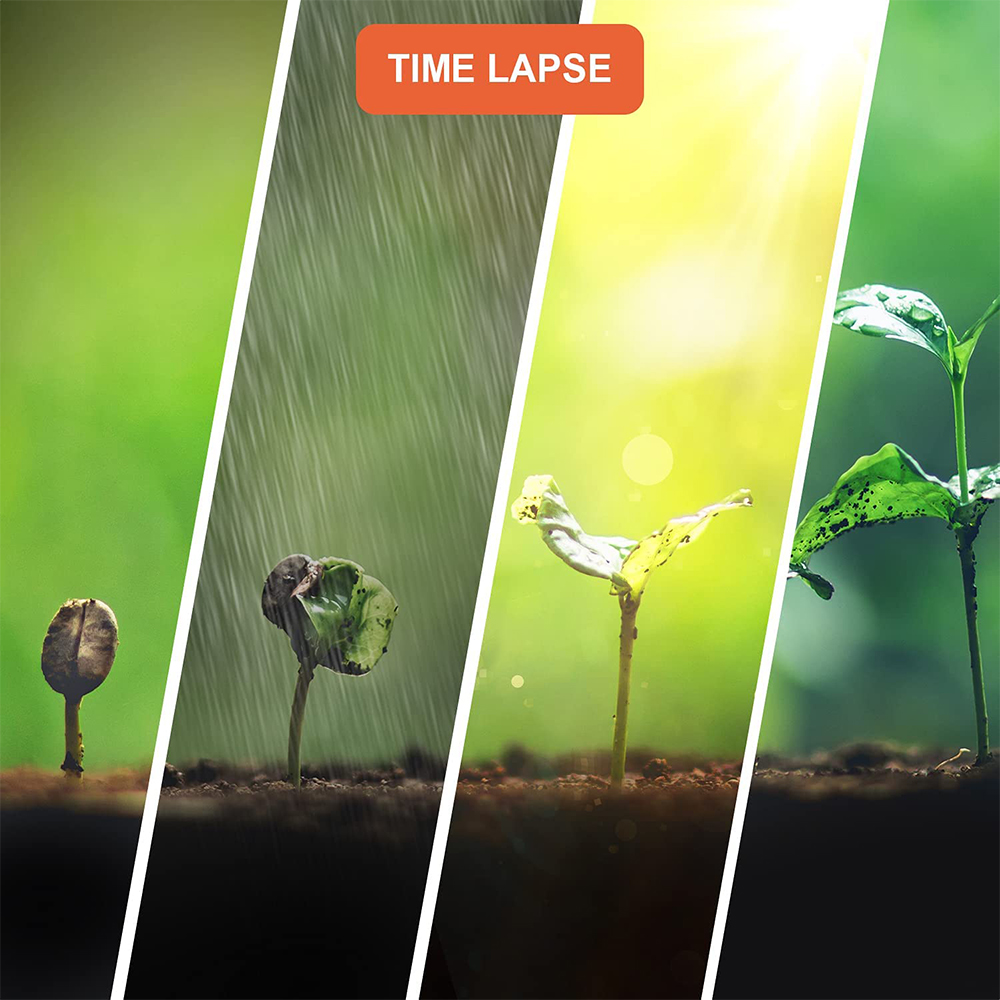 TL2300 Caméra LCD Time-Lapse 2 - Timelapse Controller avis et prix