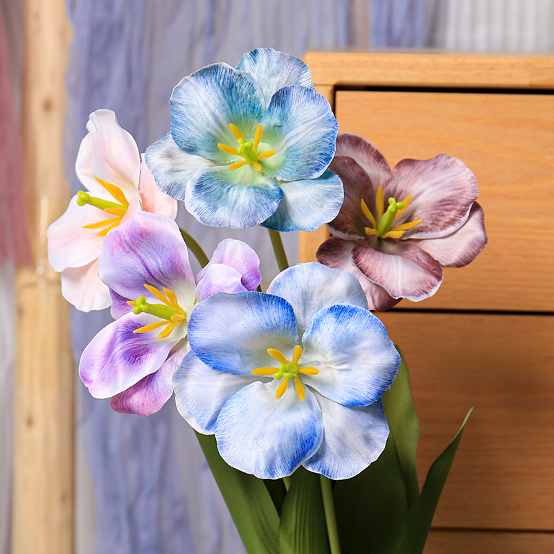 5pc 54cm Flip tulipe dégradé m - Photography Wedding avis et prix
